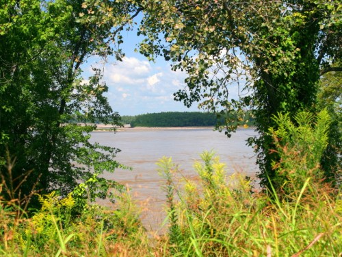 A serene river view framed by lush green trees and plants under a bright blue sky with scattered clouds.