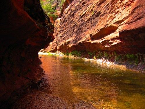 A narrow canyon with red rock walls and a calm stream running through, surrounded by greenery.