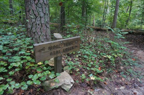 Wooden sign for "Ridge Trail" surrounded by trees and greenery in a forested area.