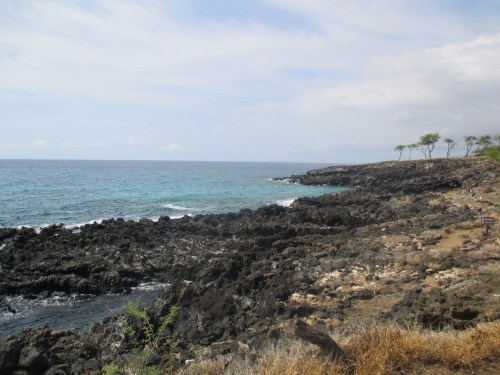 Rocky coastline with clear blue water and sparse trees under a partly cloudy sky.