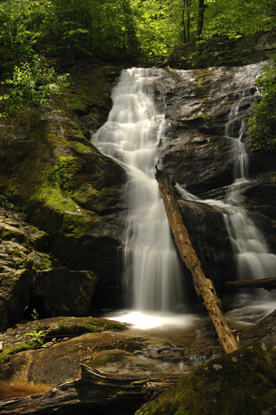 A serene waterfall cascading over moss-covered rocks, surrounded by lush green foliage.