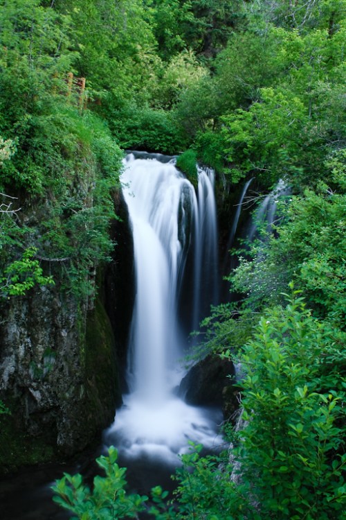 A serene waterfall cascades down rocky cliffs, surrounded by lush green foliage and trees.