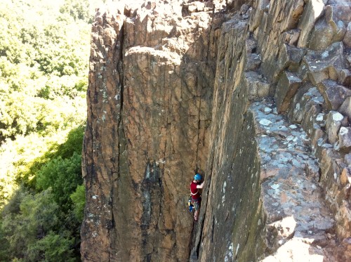 A climber ascends a rocky cliff surrounded by lush greenery, showcasing a challenging outdoor climbing scene.