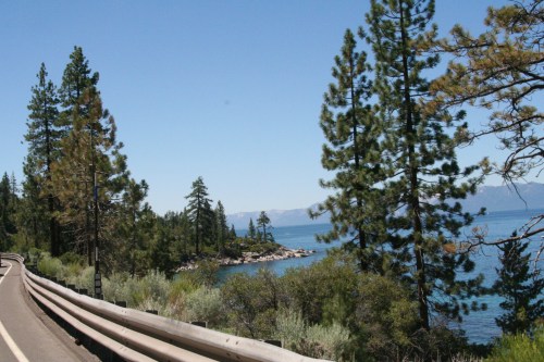 Scenic view of a winding road alongside a lake, surrounded by tall pine trees and clear blue water.