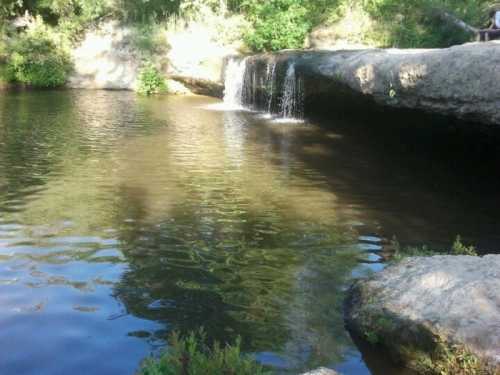 A serene scene of a small waterfall cascading into a calm pond, surrounded by lush greenery and rocky edges.