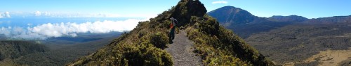 A panoramic view of a mountain trail with a hiker, lush greenery, and distant mountains under a clear blue sky.