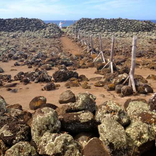 A rocky landscape with stone walls and a path leading towards the ocean under a clear blue sky.