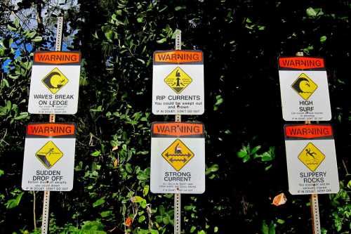 A series of warning signs about ocean hazards, including rip currents, high surf, and slippery rocks, against a green backdrop.