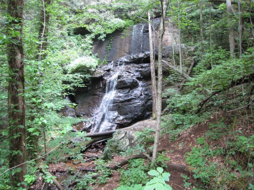 A serene waterfall cascading over rocks, surrounded by lush green trees and foliage in a tranquil forest setting.