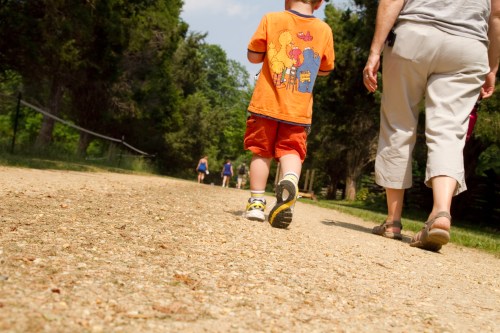 A child in an orange shirt walks on a dirt path alongside an adult, with others in the background enjoying a sunny day.