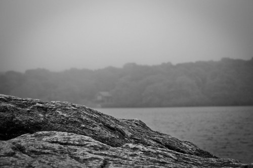 A rocky shoreline in black and white, with a foggy landscape and trees in the background.