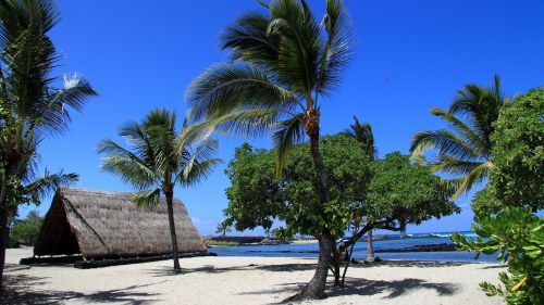 A tropical beach scene with palm trees, a thatched hut, and clear blue skies over calm waters.