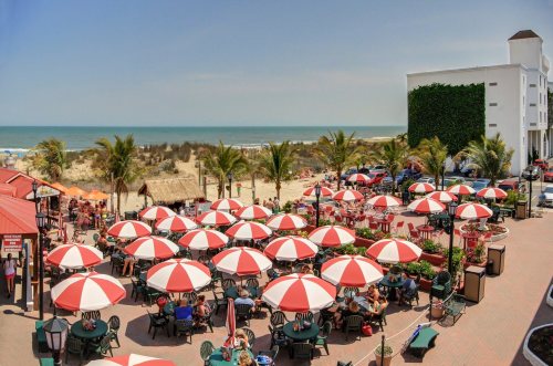 A beachside dining area with red and white umbrellas, palm trees, and a view of the ocean in the background.