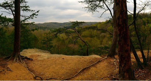 A panoramic view of a forested landscape with trees and a rocky outcrop under a cloudy sky.