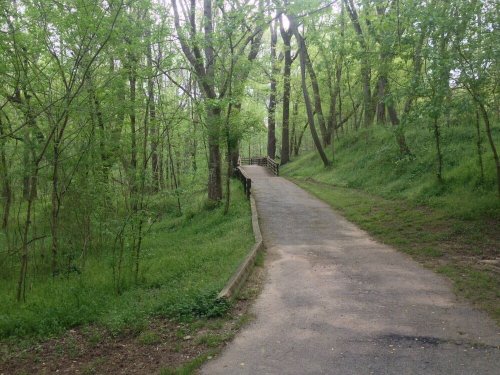A serene path winding through a lush green forest, surrounded by trees and grass.
