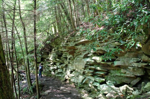 A hiker walks along a trail beside layered rock formations and dense greenery in a forested area.