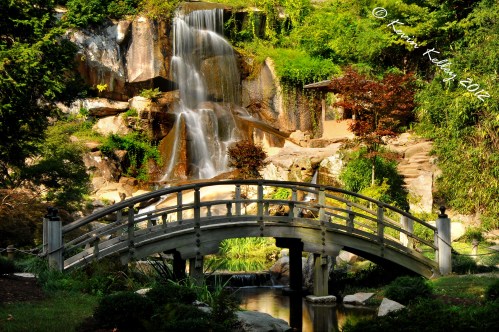 A serene garden scene featuring a wooden bridge over a stream, with a waterfall and lush greenery in the background.