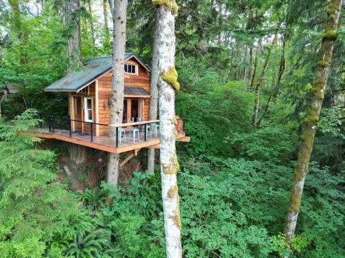 A cozy wooden treehouse nestled among lush green trees in a forest setting.