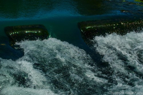 Rushing water flows over rocks, creating white foam and ripples in a serene, natural setting.