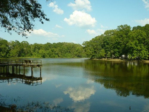 A serene lake surrounded by lush greenery and trees, with a wooden pier extending into the calm water under a blue sky.