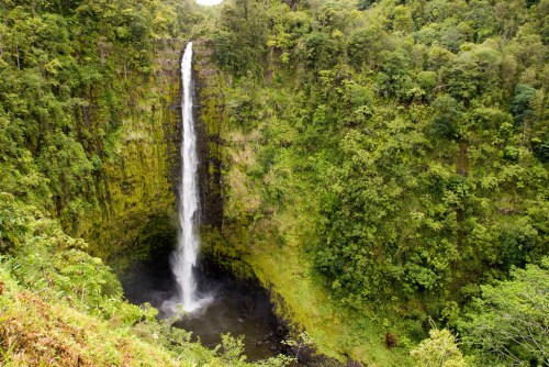 A tall waterfall cascades down a lush, green cliff surrounded by dense forest.