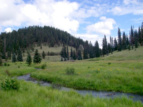 A serene landscape featuring a stream flowing through a grassy meadow, surrounded by trees and rolling hills under a blue sky.