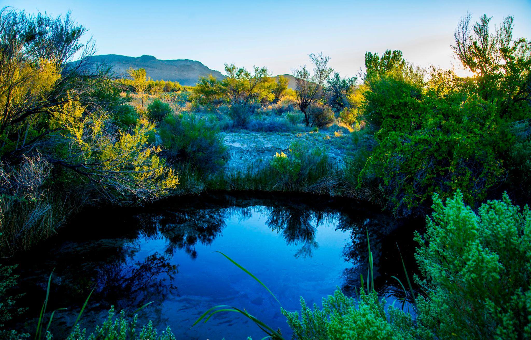 This Little Known Natural Oasis Is Hiding In Nevada… And You’re Going ...