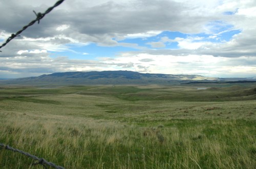 A vast, grassy landscape under a cloudy sky, with distant mountains and a barbed wire fence in the foreground.