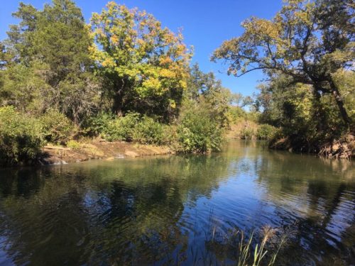 A serene river surrounded by lush greenery and trees under a clear blue sky.