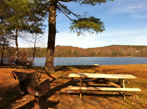 A serene lakeside scene with a picnic table, bench, and trees under a clear blue sky.