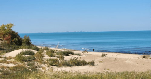 A serene beach scene with gentle waves, sandy shore, and greenery under a clear blue sky.