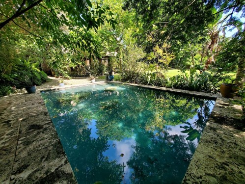 A serene swimming pool surrounded by lush greenery and trees, reflecting the vibrant nature around it.