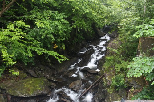 A serene stream flows through a lush, green forest, surrounded by rocks and vibrant foliage.