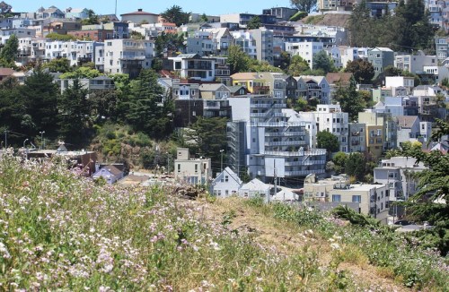 A hillside view of colorful houses and buildings, with wildflowers in the foreground and greenery surrounding the area.