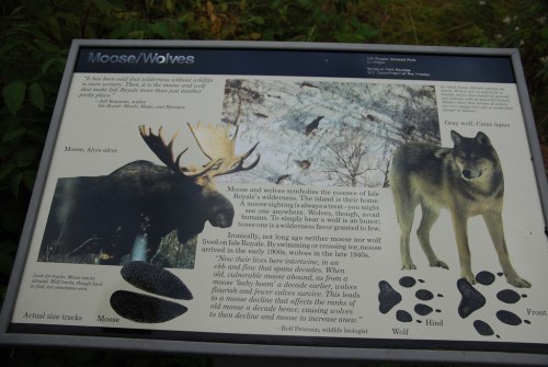 Information sign about moose and wolves, featuring images, tracks, and text on their roles in the ecosystem.