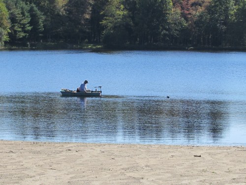 A person in a small boat paddles on a calm lake surrounded by trees, with a sandy shore in the foreground.