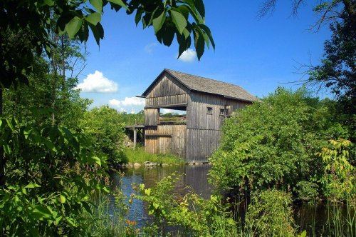 A rustic wooden building surrounded by lush greenery and a calm body of water under a bright blue sky.