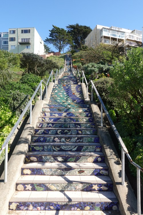 Colorful mosaic staircase leading up a hill, surrounded by greenery and buildings under a clear blue sky.