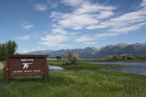 Sign for Ninepipe National Wildlife Refuge with a scenic view of mountains and a lake under a blue sky.