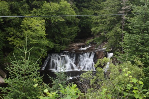 A serene waterfall cascades through lush green trees in a tranquil forest setting.