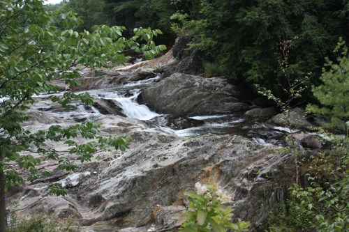 A serene river flows over rocky terrain, surrounded by lush green trees and foliage.