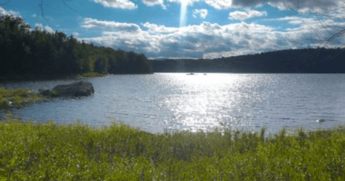 A serene lake surrounded by greenery, reflecting sunlight under a partly cloudy sky.