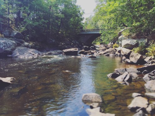 A serene river flows through rocky terrain, with a bridge visible in the background surrounded by lush greenery.