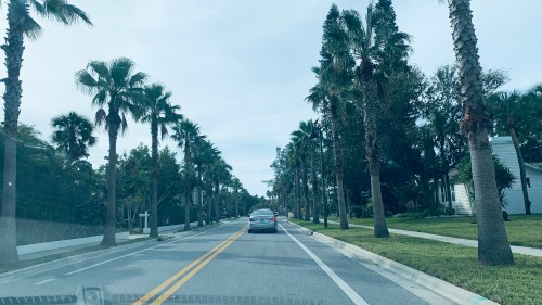 A scenic road lined with palm trees, leading to a residential area under a cloudy sky. A car drives ahead.
