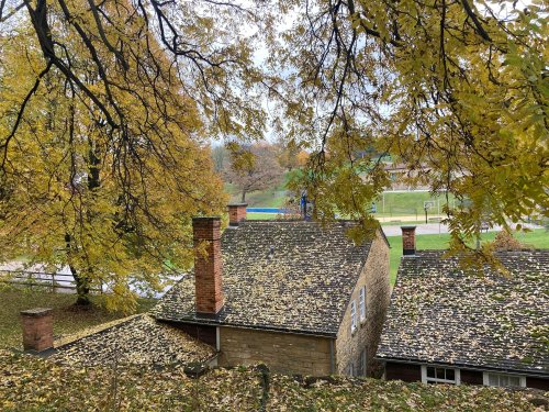 A view of a house with a roof covered in yellow leaves, surrounded by trees in autumn colors.