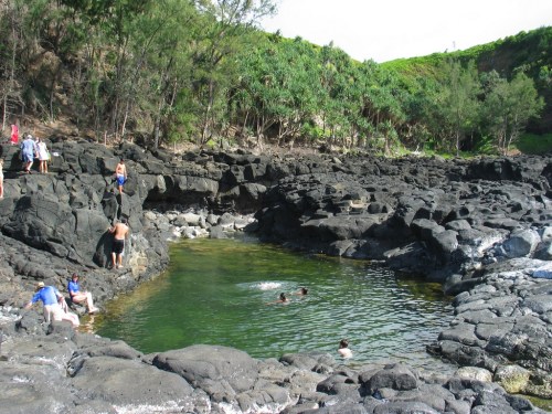 A rocky coastal area with people swimming and exploring a natural pool surrounded by greenery.