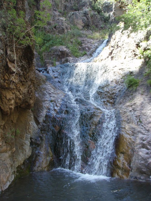 A cascading waterfall flows over rocky terrain into a serene pool, surrounded by lush greenery.