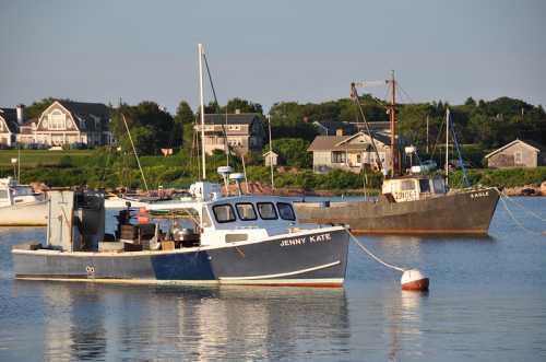 Two boats anchored in a calm harbor, with houses and greenery in the background under a clear blue sky.