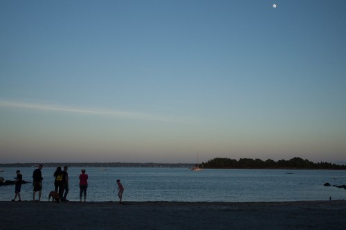 Silhouetted figures stand on a beach at dusk, gazing at the water and a rising moon in the clear sky.