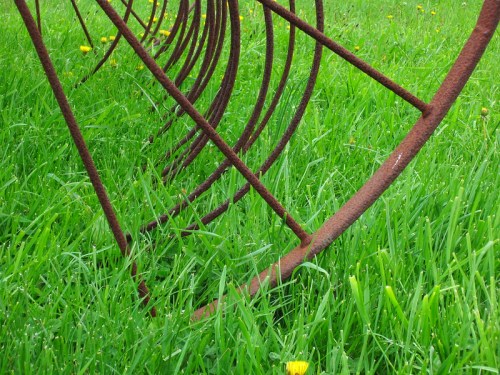 A close-up of rusted metal rings partially buried in lush green grass, with a few yellow dandelions visible.